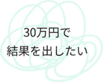 30万円で結果を出したい